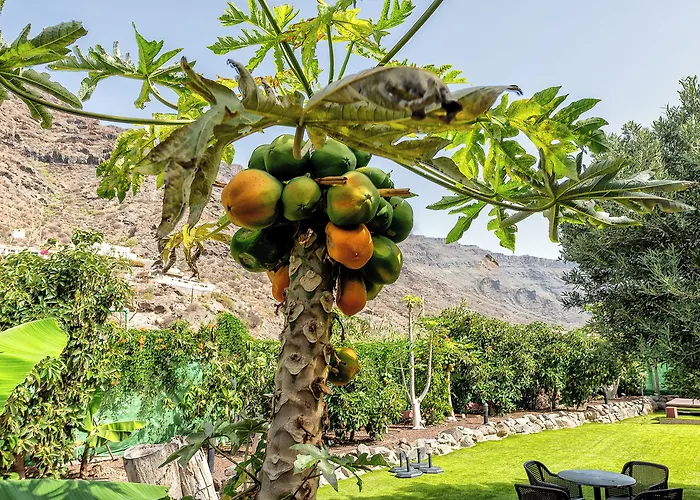 Sol Mogan - Adults Only Vakantiehuis